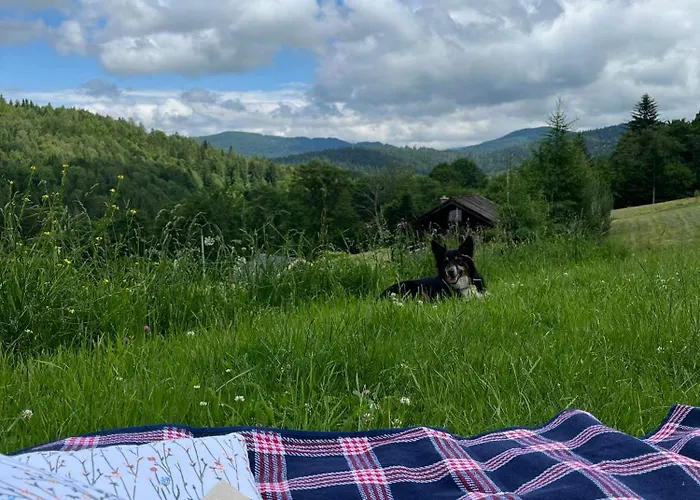 Pod Dobrym Adresem- Domek Pod Lasem